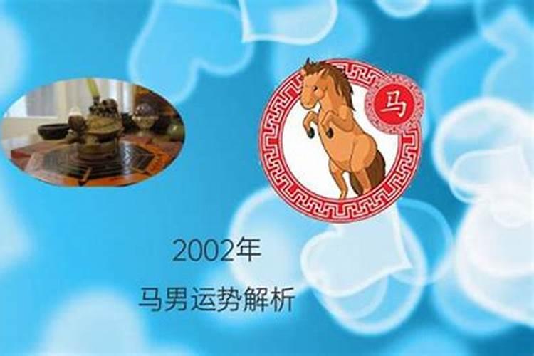 2002年出生的命运如何