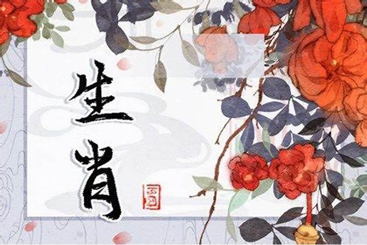 清明节开什么肖