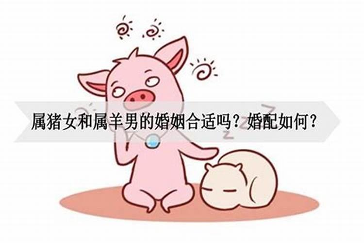 男属猪女属猪婚配好吗婚姻如何