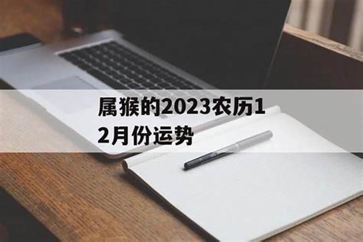 属马人2023十一月运势如何