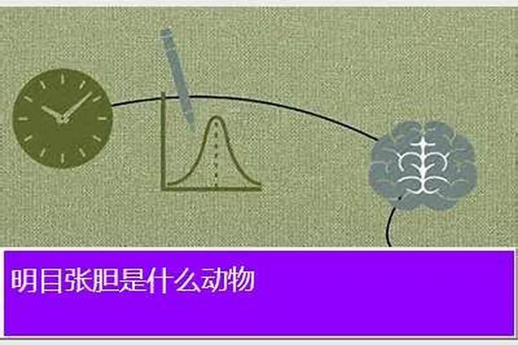 明目张胆指什么生肖、能屈能伸