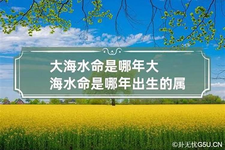 鸡和兔冲太岁是什么意思