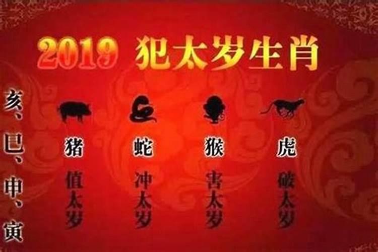 属虎魔蝎女今年运势