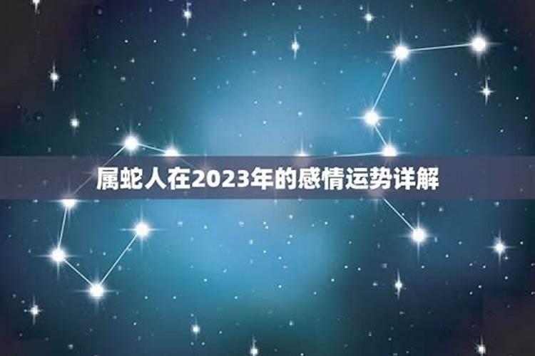 属虎人2023年运程好吗