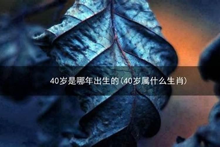 40岁属什么生肖2020