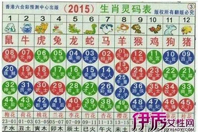 你知道马年是什么星座吗