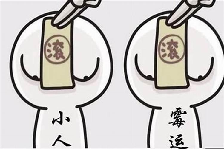 属羊的今年多少岁2016年