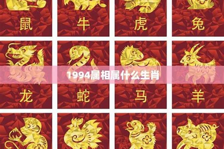 1994年出生的生肖属什么