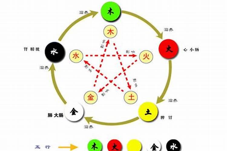 五行属木的的颜色