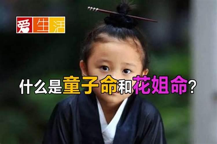 梦到兔子生小兔子是什么征兆