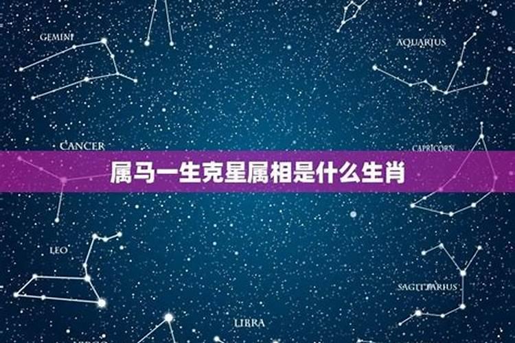 属马的克星是什么属相马