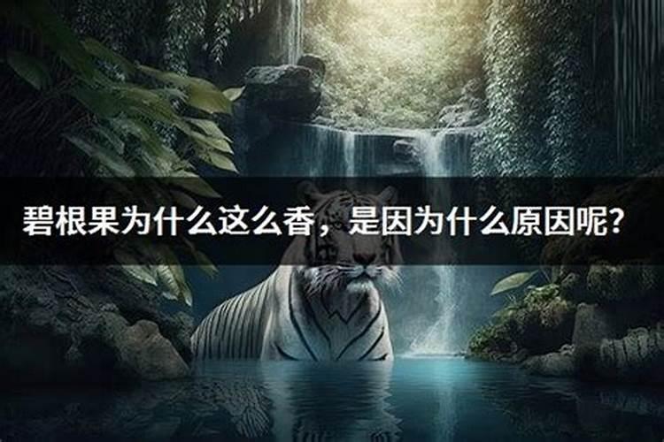 做梦梦见人是因为什么原因