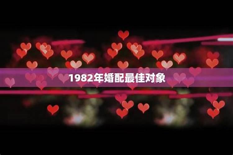 1982年属什么的最佳配偶