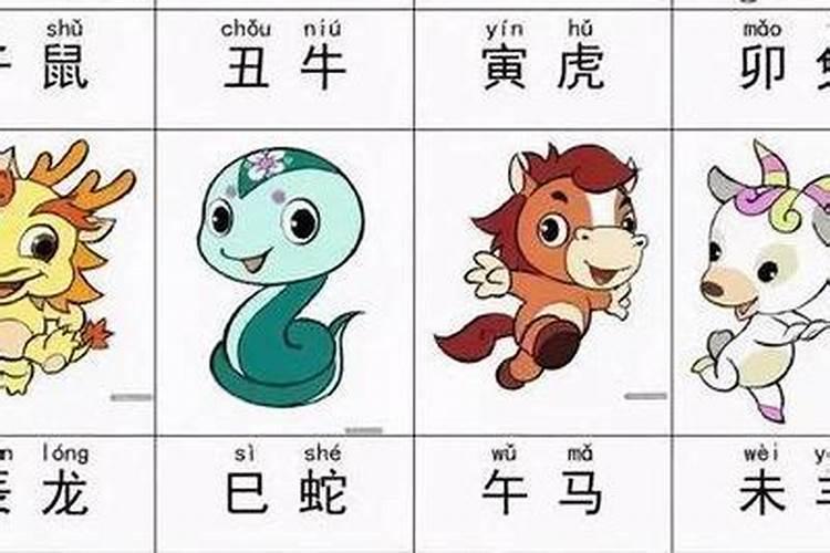 孔孟传是什么生肖