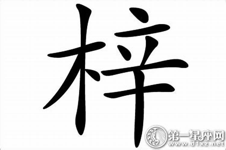 梓这个字属于五行属什么