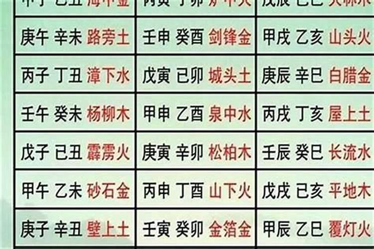 丁巳五行纳音属什么