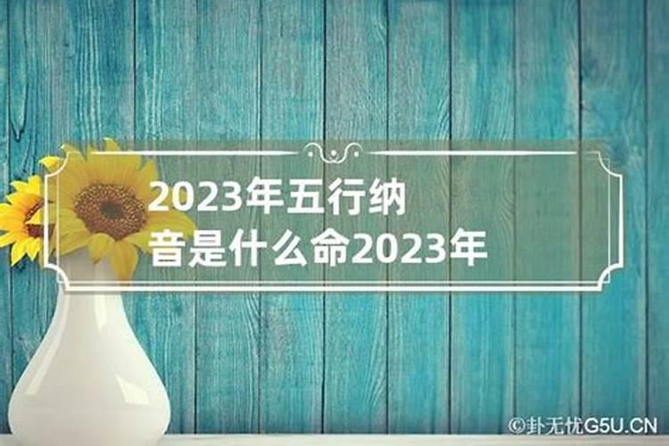 2023年纳音五行属什么命