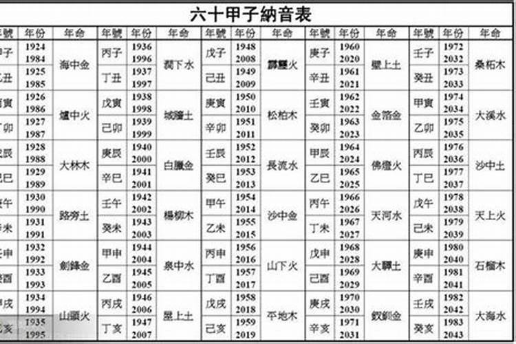 2023年纳音五行属什么命