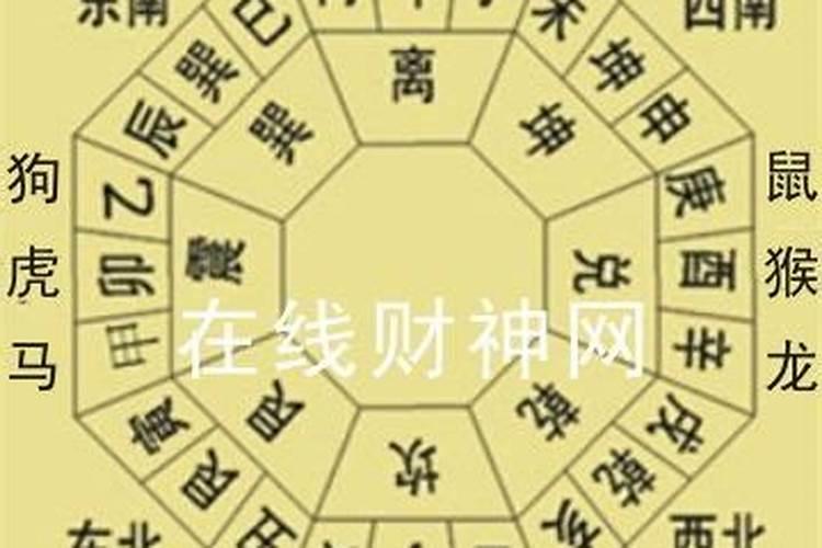 胖子是指什么生肖