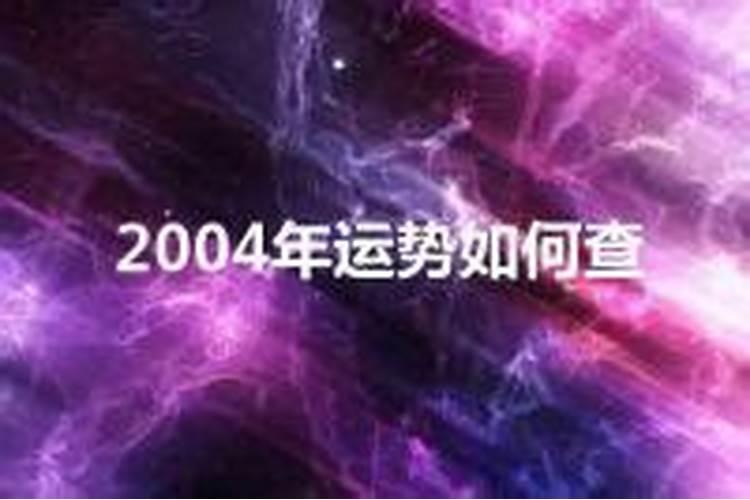 2004年什么命运