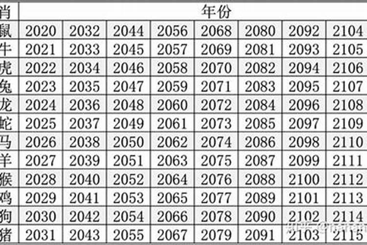 2020年至2030年是什么生肖年