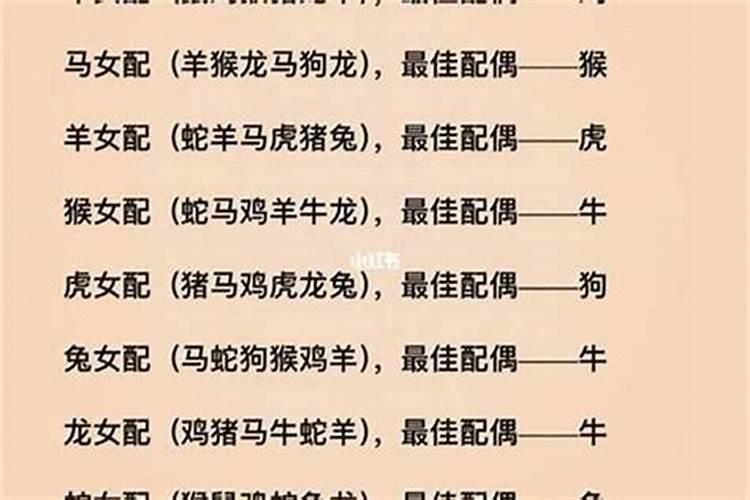 一九九年属什么的,适合婚配什么生肖