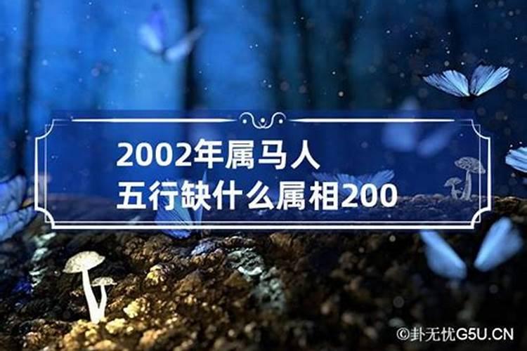 2002年属马是什么命五行属什么