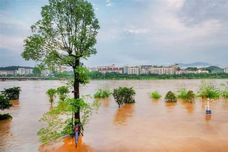 梦见大水是什么原因