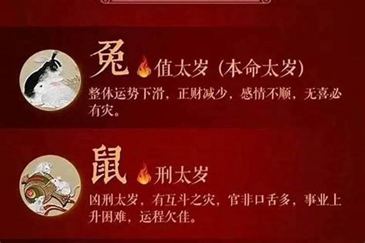 狮子座和射手座合不合适呢