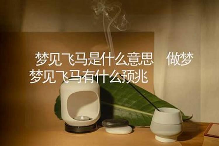 做梦梦见牵马