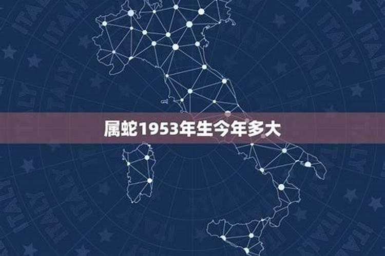 属蛇的1953年多大