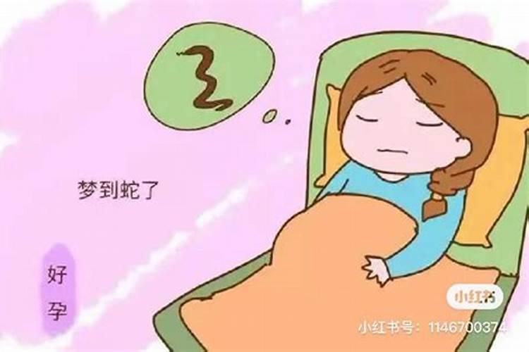 梦见蛇是什么预兆女性不但没咬我而对我心切