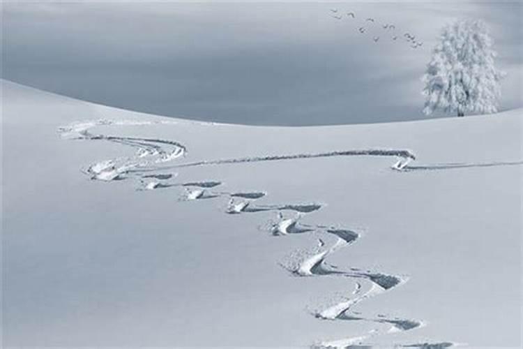 做梦梦见扫雪是什么意思