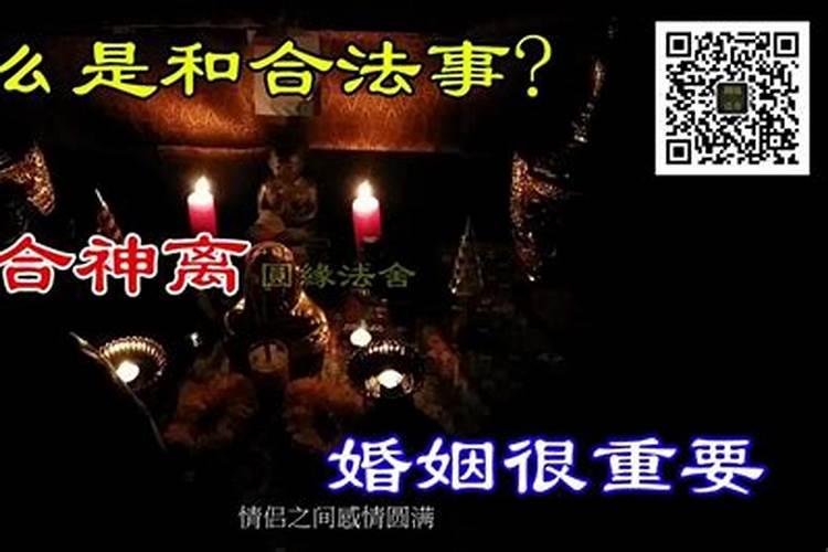 属兔和属龙结婚了怎么办啊女生