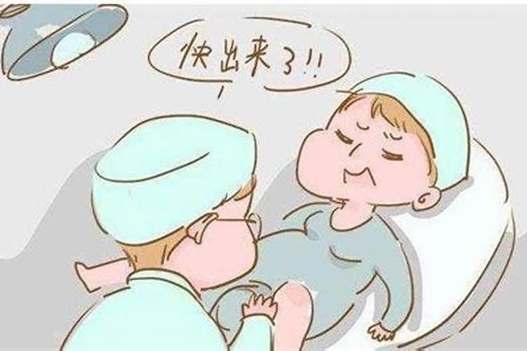 独行生肖虎