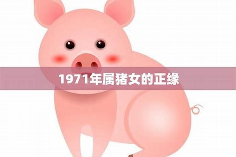 71年属猪男的婚外情