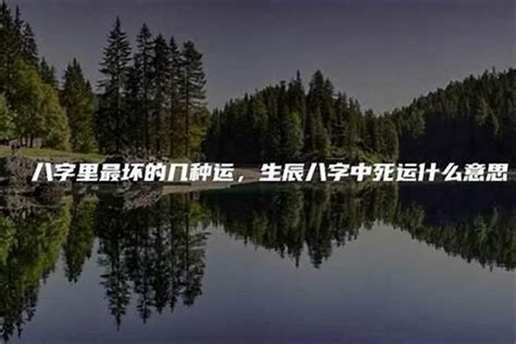 阳历十二月十一是什么星座的