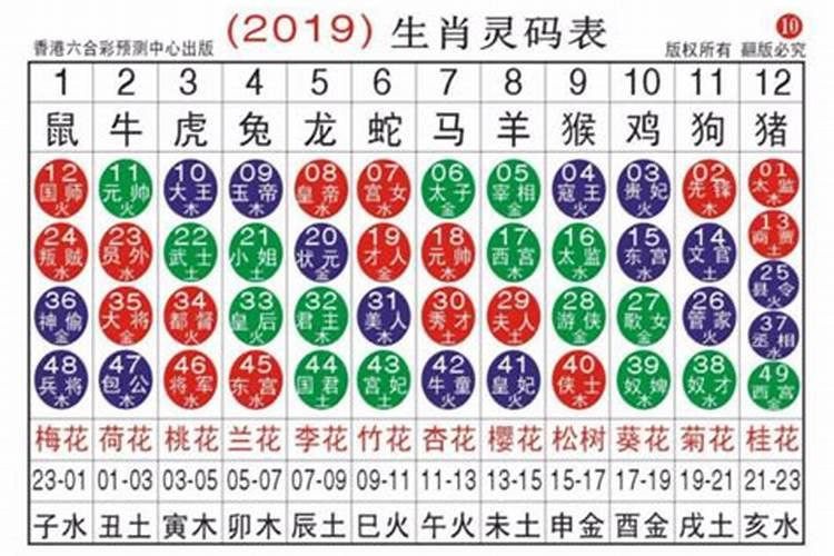 30号是什么生肖码2022