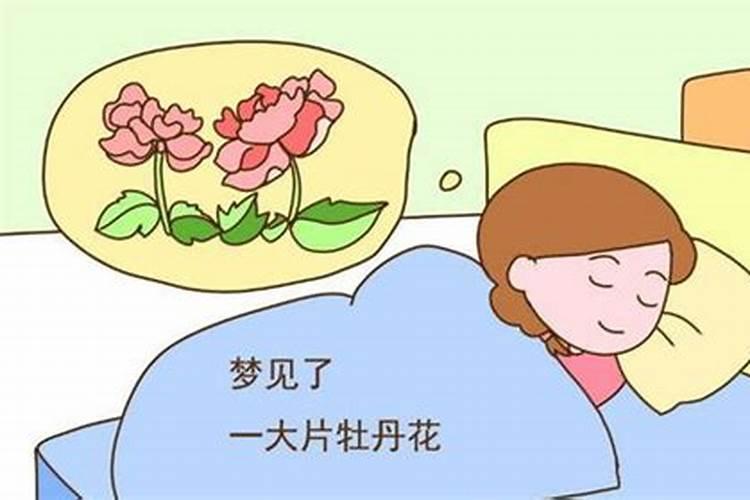 梦见春梦孕妇有什么预兆嘛