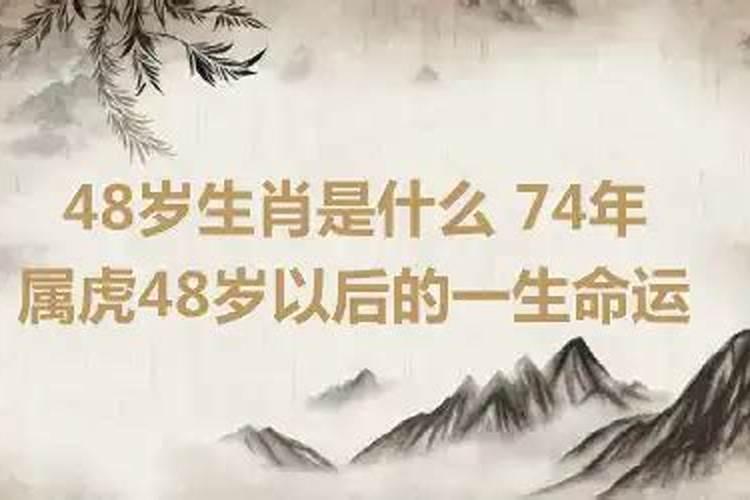 74年属虎48岁以后的一生命运2023