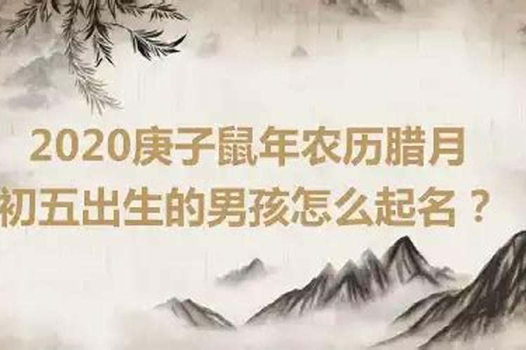 生肖羊和狗的夫妻2023年运势