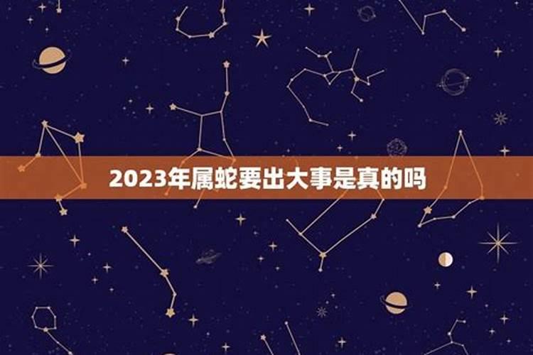 2023年属蛇要出大事