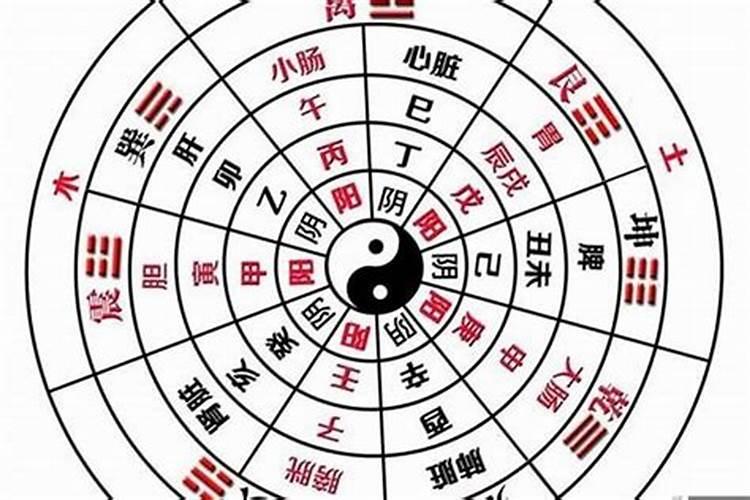 如何算自己八字的阴阳