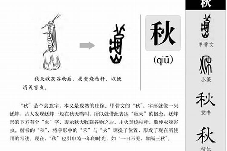 秋属于五行属什么属性