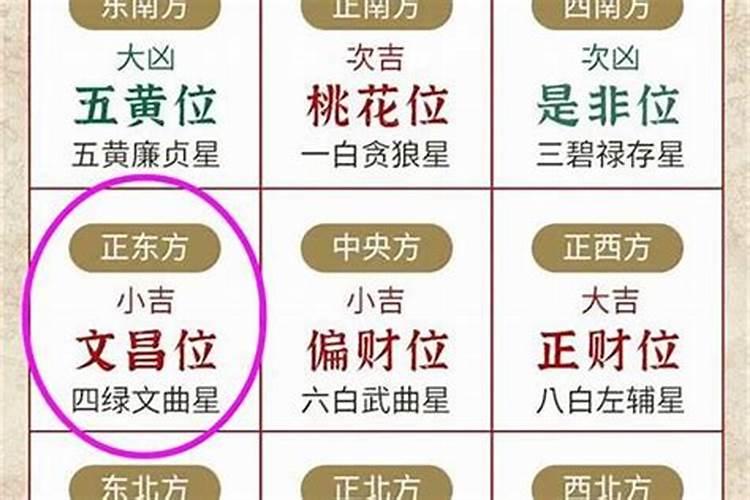 属猴和属鼠的八字合不合