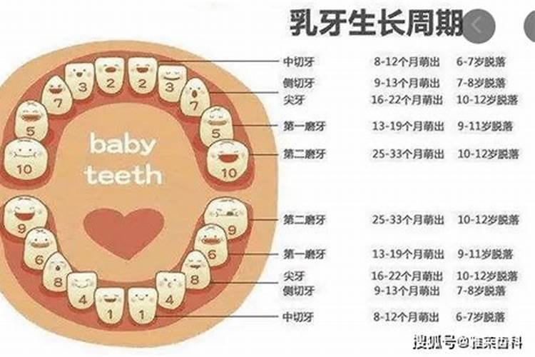 数别人的牙齿代表什么生肖