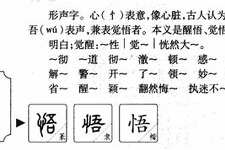 悟的五行属性是什么意思啊