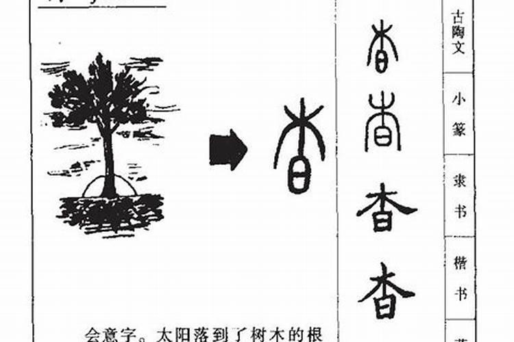 沩字五行属性