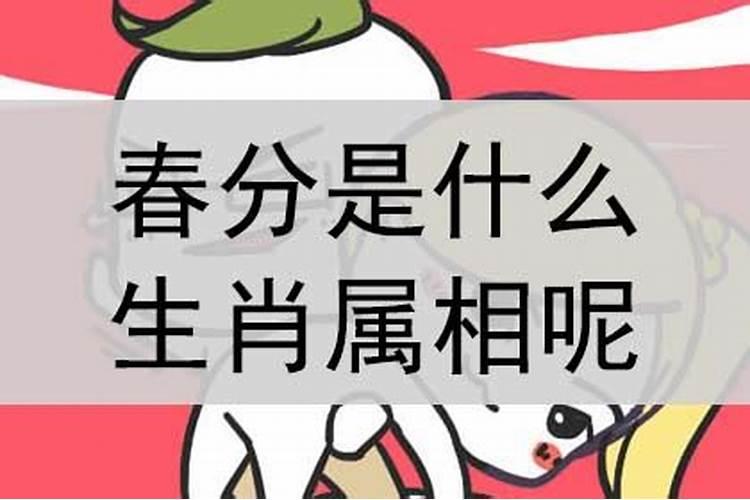 心神不定是什么生肖动物