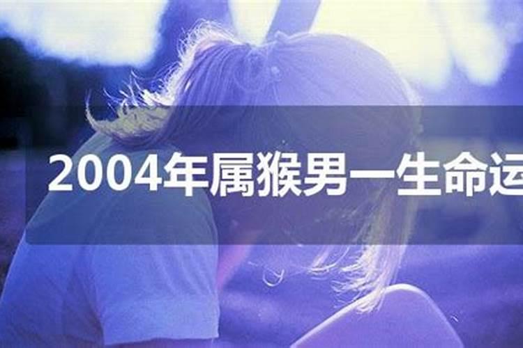 2004年属猴男一生学业